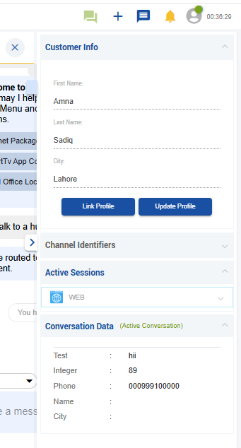 customer info pannel.png