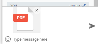 after attaching a pdf file.png