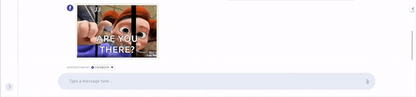 ezgif  of Gif support-FBDM.gif