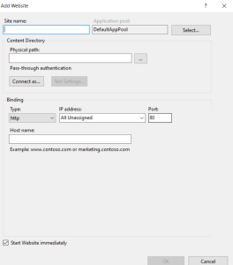 IIS Add website.PNG