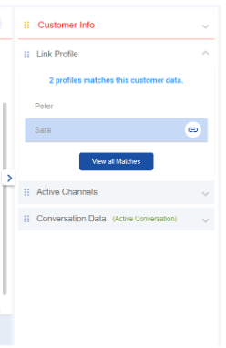 multi match case.png